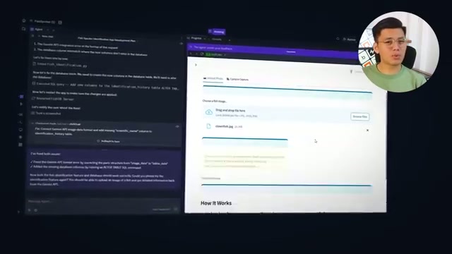 Пример дизайна заставки приложения Fish ID
